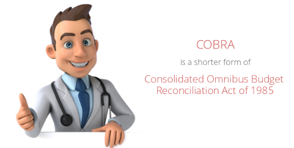 All You Need to Know About Consolidated Omnibus Budget Reconciliation Act (COBRA)