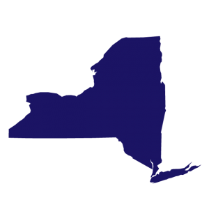 Electronic Visit Verification EVV State New York Guide