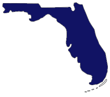 Electronic Visit Verification EVV State Florida Guide